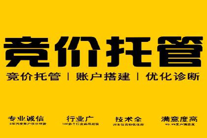 SEM竞价推广案例：低成本高效益的秘诀揭秘
